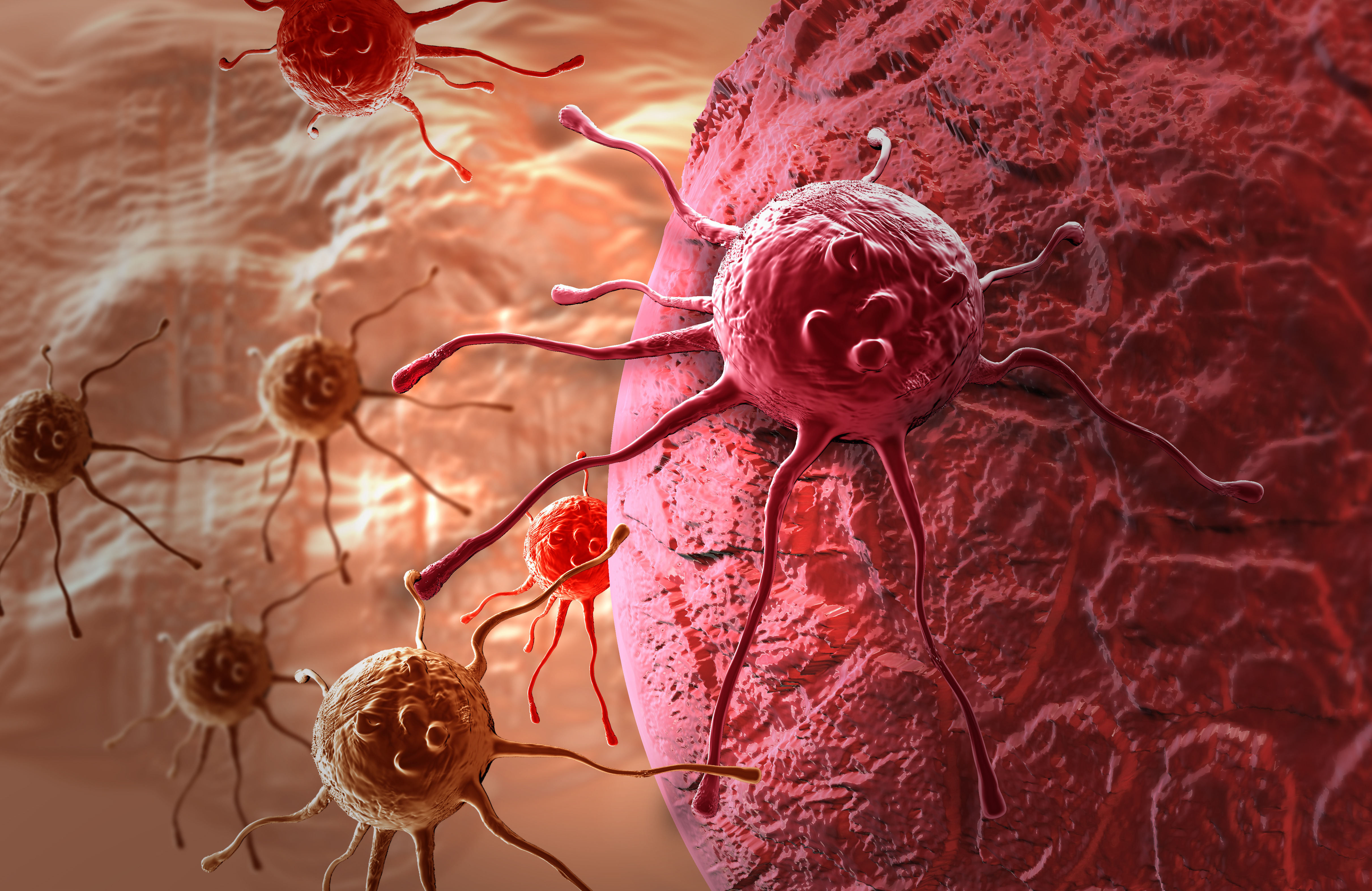 5 cancer causing foods 5 cancer causing foods