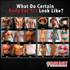 what do body fat % look like?